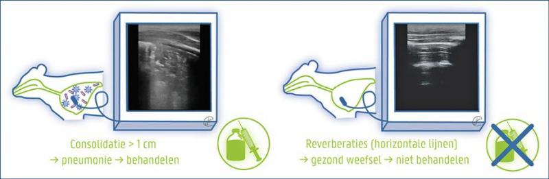 Figure 2: Rapid scanning lung ultrasound (QTES) images.