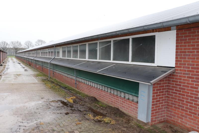 De centrale gang zit bij de nieuwe stal aan één kant, met aan één zijde een uitbouw voor de luchtinlaat.