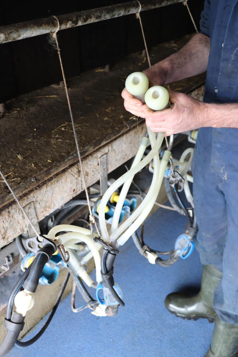 Bart en Wubbo hadden nog geen melkstellen voor de melkschapen. Bij een lokale verdeler konden zij een gebruikte SAC- geitenmelkinstallatie kopen.