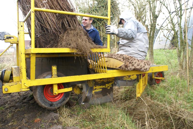 Bodembedekking is cruciaal in erosiebestrijding. Planten fixeren immers de bodem.