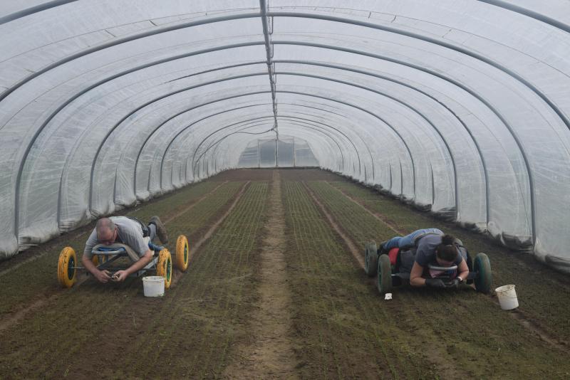 Onderzoekers volgen de teelten volledig op van zaai of plant tot vermarkting. Zo brengen we de hele keten in kaart en kunnen we ook onderzoeken wat rendabel is voor de landbouwer, waar de verbeterpunten liggen,  enzovoort , aldus Lieven Delanote.