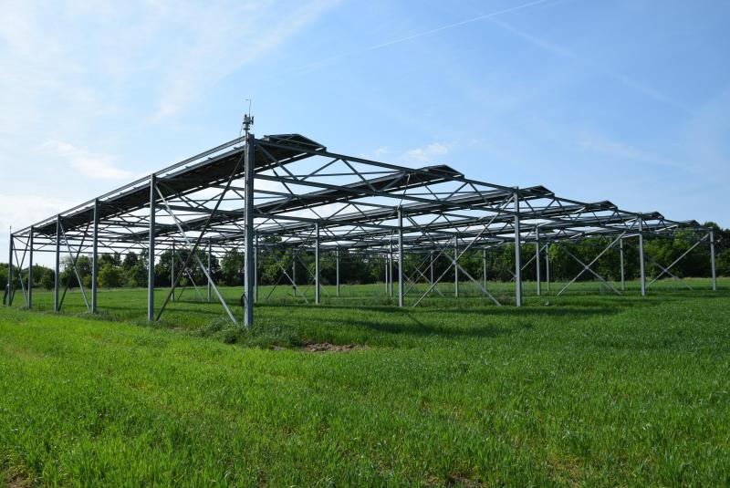Via agrovoltaics onderzoekt men hoe zonnepanelen boven landbouwgewassen een win-winsituatie kunnen worden.
