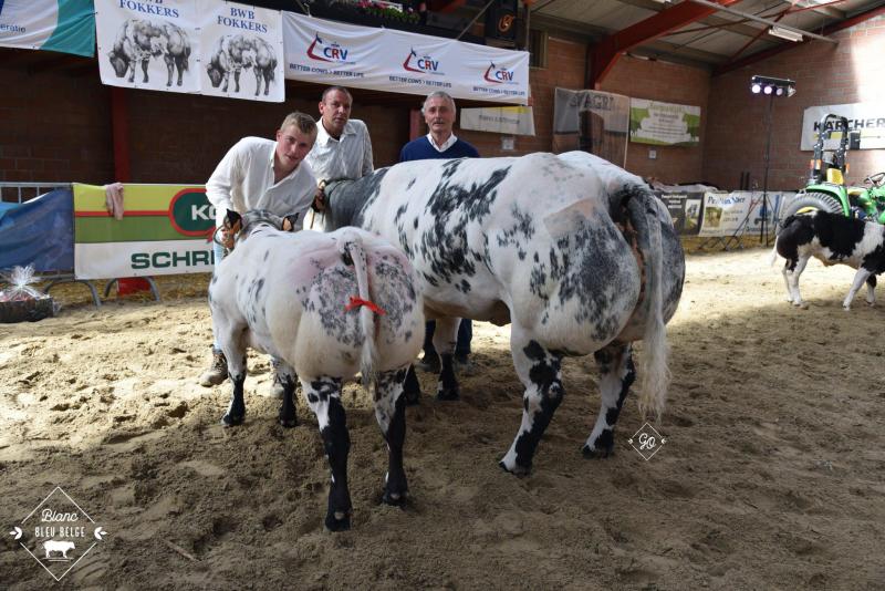 Kampioen koe met kalf: François Van de Vyver.