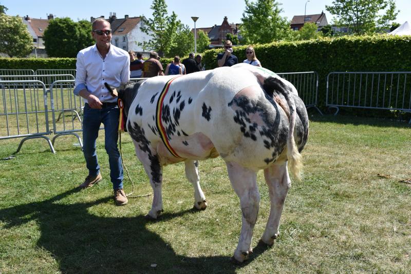 Jeugdkampioen vaarzen: Jasmina du Coin (Balisto) – eig. Peter Van Moer, Sint-Gillis-Waas.