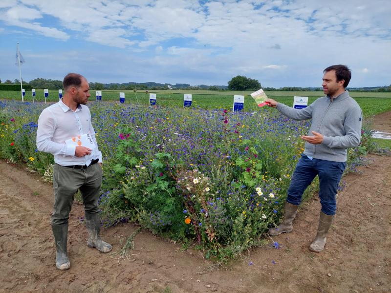 Bloemenmengsels zijn nuttig voor insecten en worden geapprecieerd door burgers.