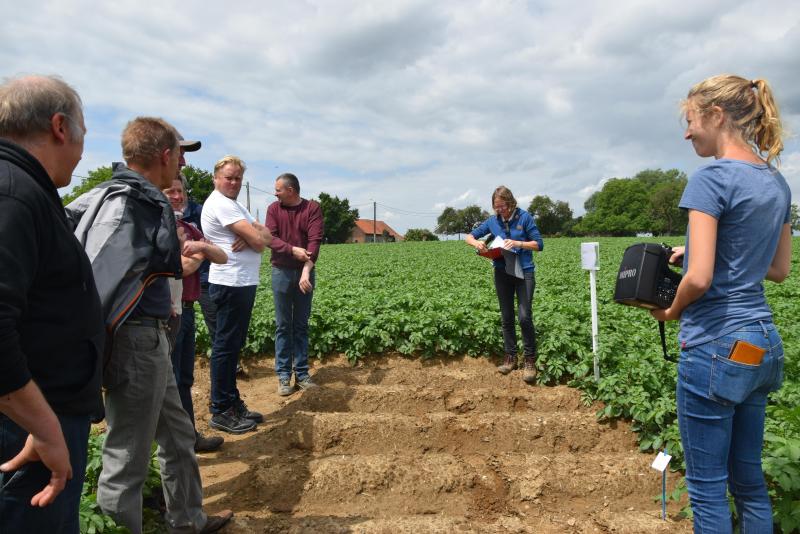 In aardappel worden alternatieven voor Innovator en Fontane  beproefd.