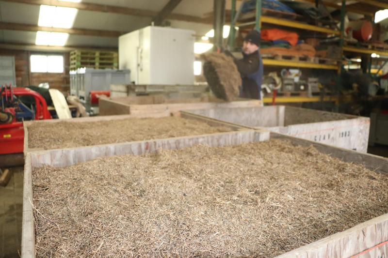 In de hangar staan nog een aantal kuubskisten met het restproduct van de zeekraal zaadteelt.