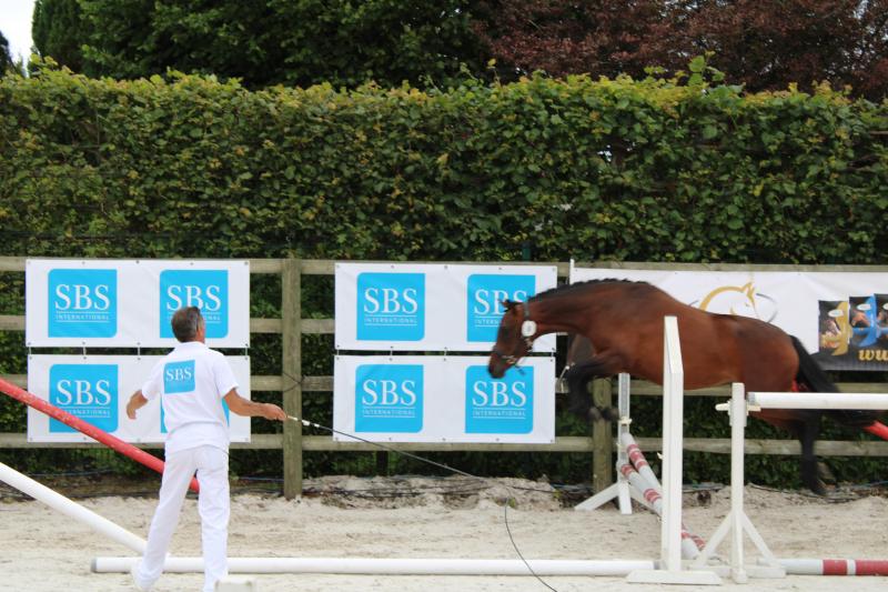 Vrijspringen in de Havrincourt-piste