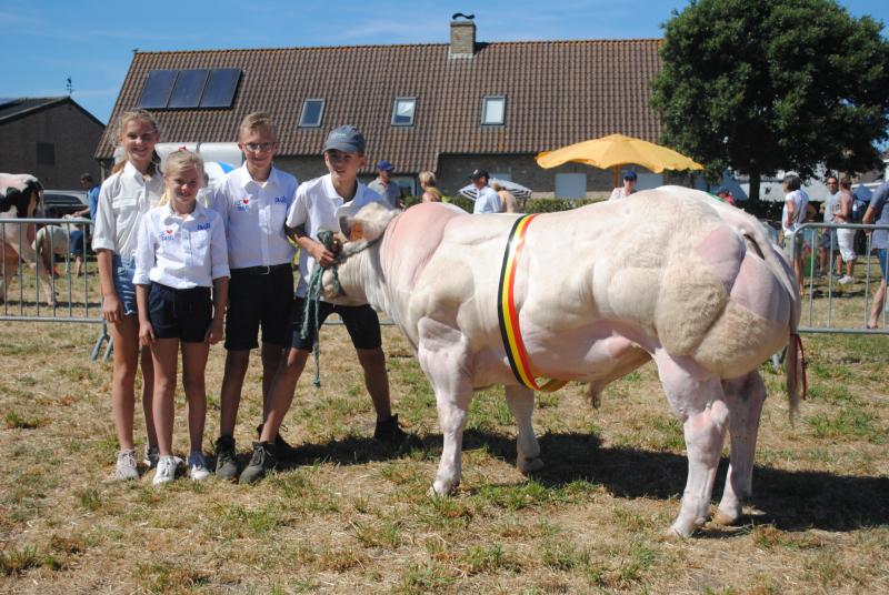 Rugby vd Stokerij (Vidal), kampioen stieren jonger dan 1 jaar, van Roger Monabaliu uit Jabbeke.