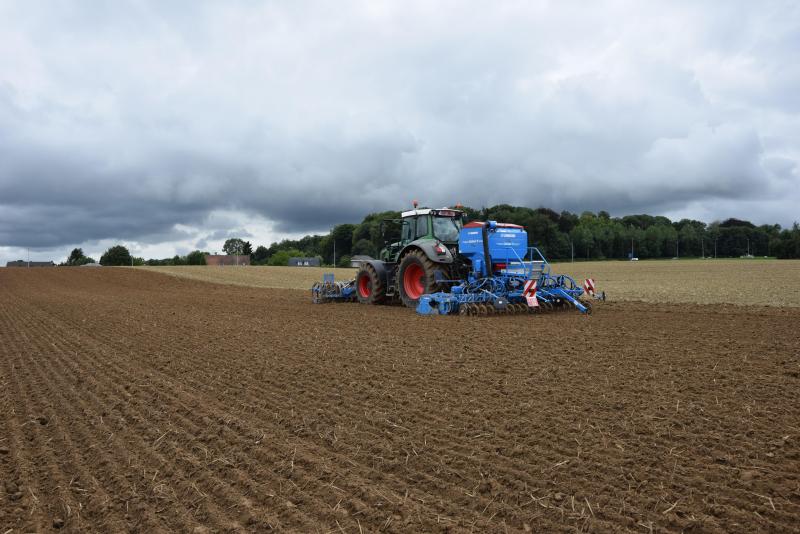 Het tijdstip van (her)zaaien is afhankelijk van het grasmengsel en situeert zich binnen de tijdspanne eind augustus tot eind oktober.