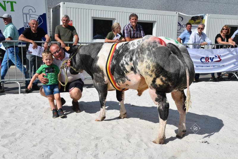 Rakker van het Bareelhof (Darko X Impérial), kampioenschap Mr Toekomst : stieren van 6 tot 12 maanden, eig. Veulemans Stijn, Glabbeek.