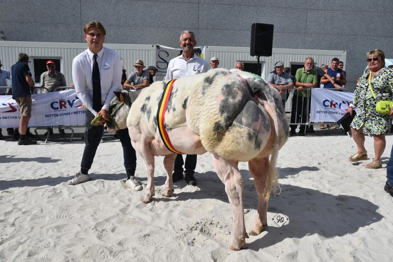 Peggy vd Hemelrijsehei (Darko X Vuiton), kampioenschap Miss Toekomst: vaarzen van 6 tot 12 maanden, eig. Ludo Robberechts, Perk.