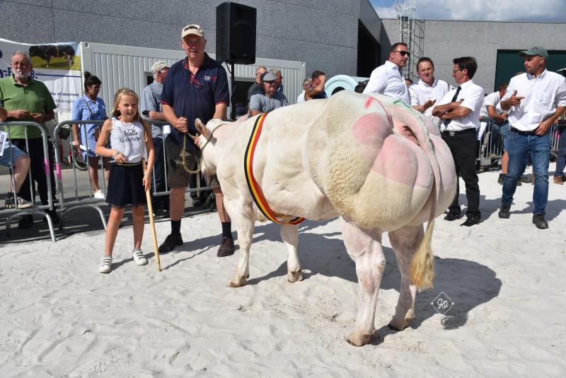 Gazelle de Spy (Dauphin X Grommit), kampioenschap vaarzen van 12 tot 20 maanden & dagkampioen, eig. Daniel, Damien & Charles Van Bellegem, Spy.