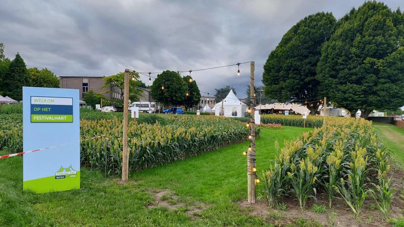 Het ILVO legde een demotuin aan met enkele veelbelovende gewassen voor de landbouw van de toekomst, met onder andere bijenvriendelijke rozen, quinoa, sorghum, kikkererwten...