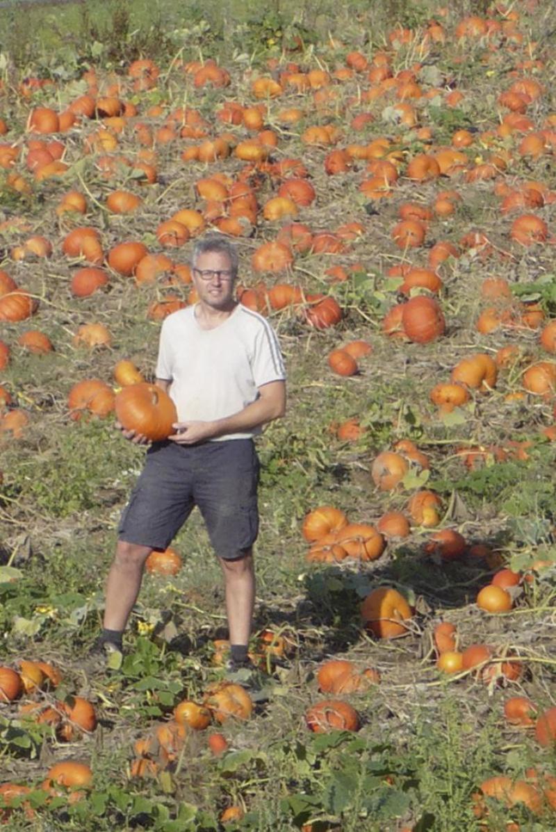 Zijn oorspronkelijke 50 a pompoenen heeft Jean-Yves intussen uitgebreid tot 20 ha.