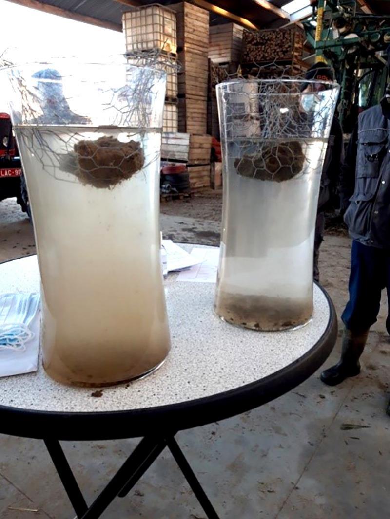 Vase test: A clod of earth was placed in both vases.  Due to the higher content of organic carbon and the better structure of the root ball in the vase on the right, we see that the soil crumbles much more slowly and that the water becomes less cloudy than with the root ball in the vase on the left.