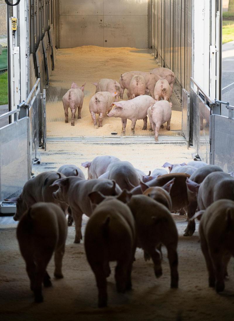 Bij Duroc d’Olives houden ze de transportafstanden zo beperkt mogelijk.
