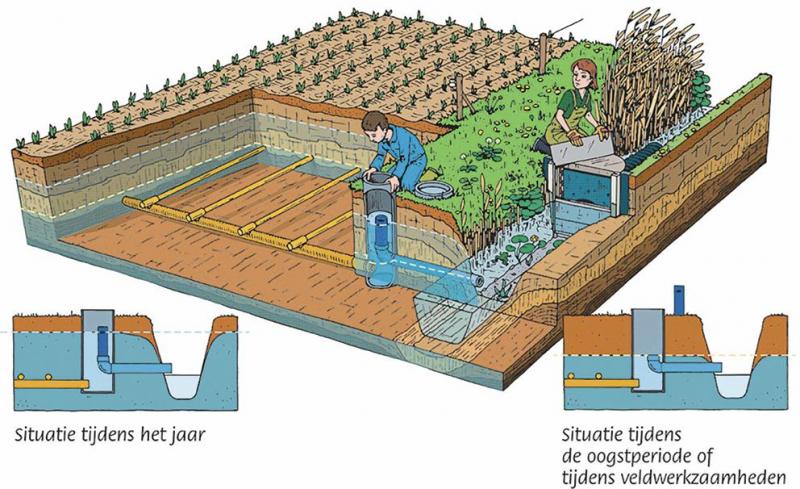 Figuur 1: Illustratie van de werking van een peilgestuurde drainage (PGD).