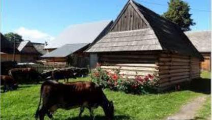 Polen en Slowakije - Landbouwleven
