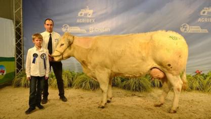 Farine de la Plate taille (Bourvil x Saoin), eerste prijs koeien mixte.  Eig. Vandromme V., Boussu-les-Walcourt