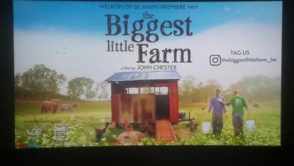 Biggest little farm is een documentaire die een einde maakt aan veel waanvoorstellingen die burgers hebben over het wel en wee op een boerderij.