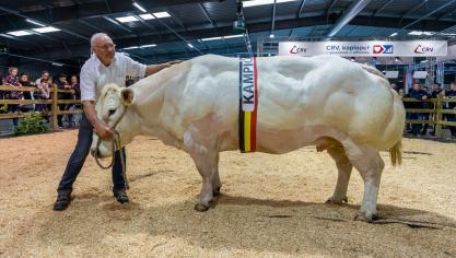 Gust Van De Perre uit Kasterlee sleepte met Jolien Vd Driehoek de kampioenstitel in de wacht in de categorie koeien vanaf 44 maanden.