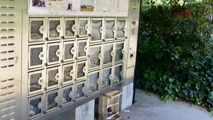Op 5 jaar tijd werd 300.000 euro Vlaamse steun verleend aan hoeveautomaten.