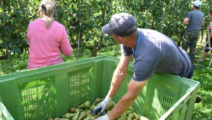 De provincie Limburg kondigt samen met Vlaams-Brabant nieuwe regels af voor seizoenarbeiders, in de strijd tegen het coronavirus.