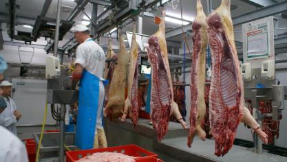 De voorbije weken kregen ook al enkele buitenlandse slachthuizen te maken met (zware) corona-uitbraken.