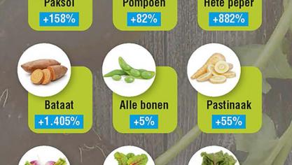 Guy Jennes van BelOrta: Vergeten groenten slaan pas aan als de supermarkten mee willen