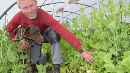 “Als ik ga kijken bij mijn vaste plantgoedleveranciers en zaadhuizen, kies ik groenten die ik interessant vind en wil proberen.”