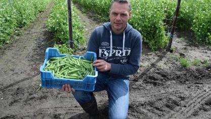 De laatste 5 à 6 jaar breidde Maarten De Wit het areaal uit, in samenwerking met de veiling.