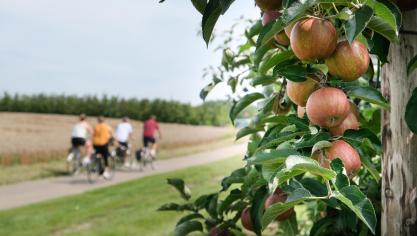 Trek er zeker ook zelf op uit!