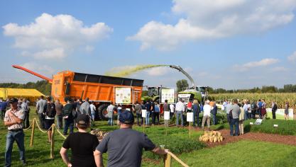 Op de terreinen van de Werktuigendagen is 23 ha maïs beschikbaar, hoofdzakelijk om te hakselen.