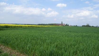 Opdat de Pachtwet van toepassing zou zijn, moet voldaan zijn aan de wettelijke voorwaarden, met name de verhuur van een landeigendom voor exploitatie binnen een landbouwbedrijf. Dit landbouwbedrijf moet beroepsmatig worden uitgebaat en gericht zijn op de productie en verkoop van landbouwproducten.