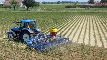 Loonwerken Gesquière met zijn machinecombinatie om gras onder te zaaien in maïs.