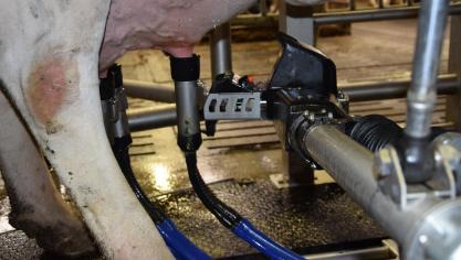 In Europa verwacht men een groen aanvoercijfer voor juli.