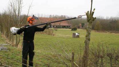 Via het project ‘Goed Geknot’ koppelen Regionale Landschappen vrijwillige knotters aan eigenaars van knotbomen.
