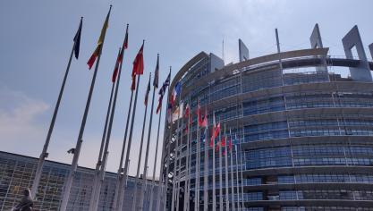 Het Europees Parlement debatteerde over de dringende nood aan een Europese strategie voor meststoffen.