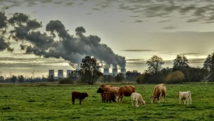 We stootten een geschatte 72 megaton uit, ten opzichte van 69 megaton in 2020.