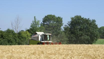 Voor de graandeal was de bedoeling dat miljoenen ton graan, dat door de Russische oorlog geblokkeerd zat in Oekraïense havens, kon worden geëxporteerd om zo de tekorten op de wereldmarkt weg te werken.