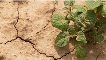 De VLM zal de komende weken verder overleggen met landbouw-, milieu- en natuurorganisaties om te bekijken of resultaatgerichte alternatieve maatregelen mogelijk zijn.