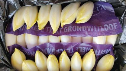 De vraag rijst of de stijgende kosten van de witloofteler moeten doorgerekend worden naar de consument.