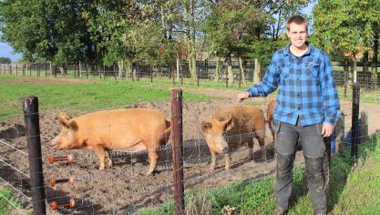 Niels Van Hoenacker startte De Veldhoeve met Tamworth-varkens.