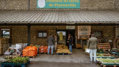 De helft van de aardappelen wordt verkocht via directe verkoop door de producenten,  en de andere helft via traditionele verkoopkanalen.