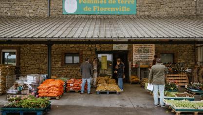 De helft van de aardappelen wordt verkocht via directe verkoop door de producenten,  en de andere helft via traditionele verkoopkanalen.