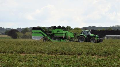 Ten opzichte van vorig jaar meldt NEPG dat vooral België opvalt door de lagere productie, namelijk 18,7% minder.