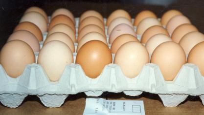 In verschillende Europese landen vreest men voor een tekort aan eieren.