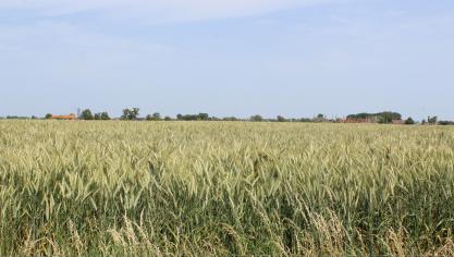 Fernand Huts kocht de 79 percelen (goed voor 450 ha landbouwgrond in Zeeuws-Vlaanderen) voor 17,5 miljoen euro.