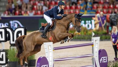 King Edward scheerde dit jaar al meermaals hoge toppen, en won nu ook de titel  ‘Landbouwleven Paard van het Jaar’.